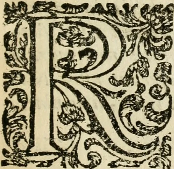 An illustration from Recreatio mentis, et oculi in observatione animalium testaceorum Italico sermone primum proposita ... nunc ... Latine oblata centum additis testaceorum iconibus .., 1684, leaf 10