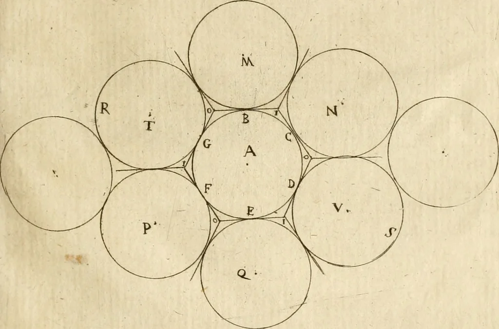 An illustration from Recreatio mentis, et oculi in observatione animalium testaceorum Italico sermone primum proposita ... nunc ... Latine oblata centum additis testaceorum iconibus .., 1684, leaf 237