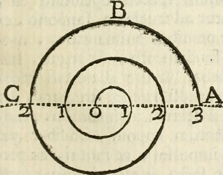 An illustration from Recreatio mentis, et oculi in observatione animalium testaceorum Italico sermone primum proposita ... nunc ... Latine oblata centum additis testaceorum iconibus .., 1684, leaf 246