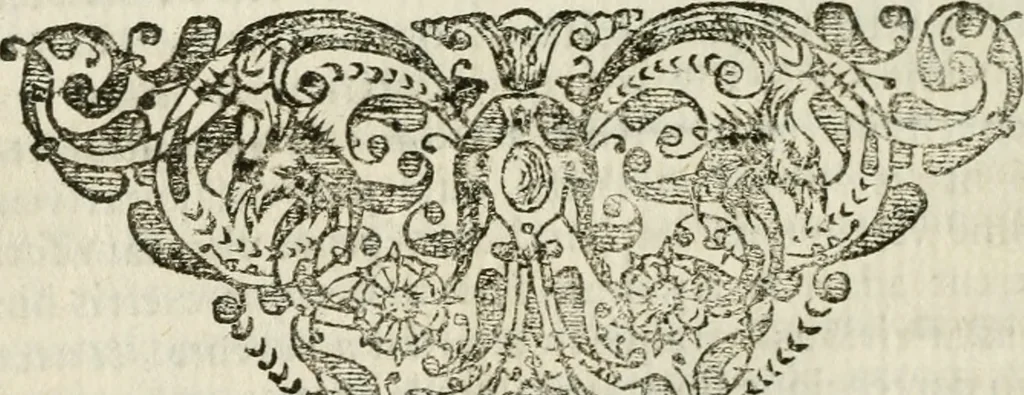 An illustration from Recreatio mentis, et oculi in observatione animalium testaceorum Italico sermone primum proposita ... nunc ... Latine oblata centum additis testaceorum iconibus .., 1684, leaf 300