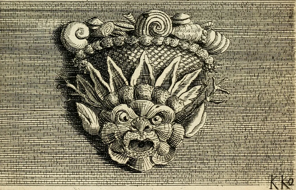 An illustration from Recreatio mentis, et oculi in observatione animalium testaceorum Italico sermone primum proposita ... nunc ... Latine oblata centum additis testaceorum iconibus .., 1684, leaf 575