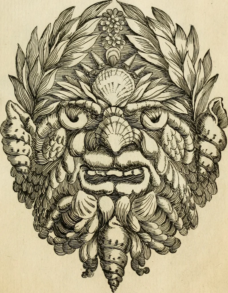 An illustration from Recreatio mentis, et oculi in observatione animalium testaceorum Italico sermone primum proposita ... nunc ... Latine oblata centum additis testaceorum iconibus .., 1684, leaf 583