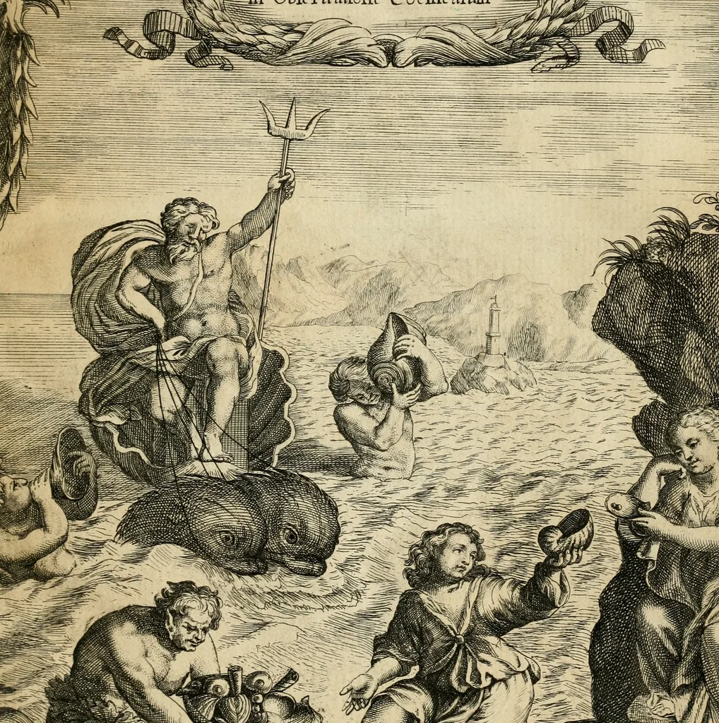 An illustration from Recreatio mentis, et oculi in observatione animalium testaceorum Italico sermone primum proposita ... nunc ... Latine oblata centum additis testaceorum iconibus .., 1684, leaf 6