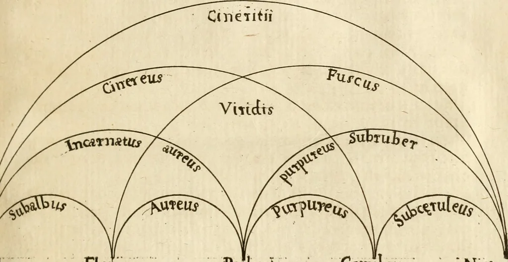 An illustration from Recreatio mentis, et oculi in observatione animalium testaceorum Italico sermone primum proposita ... nunc ... Latine oblata centum additis testaceorum iconibus .., 1684, leaf 86