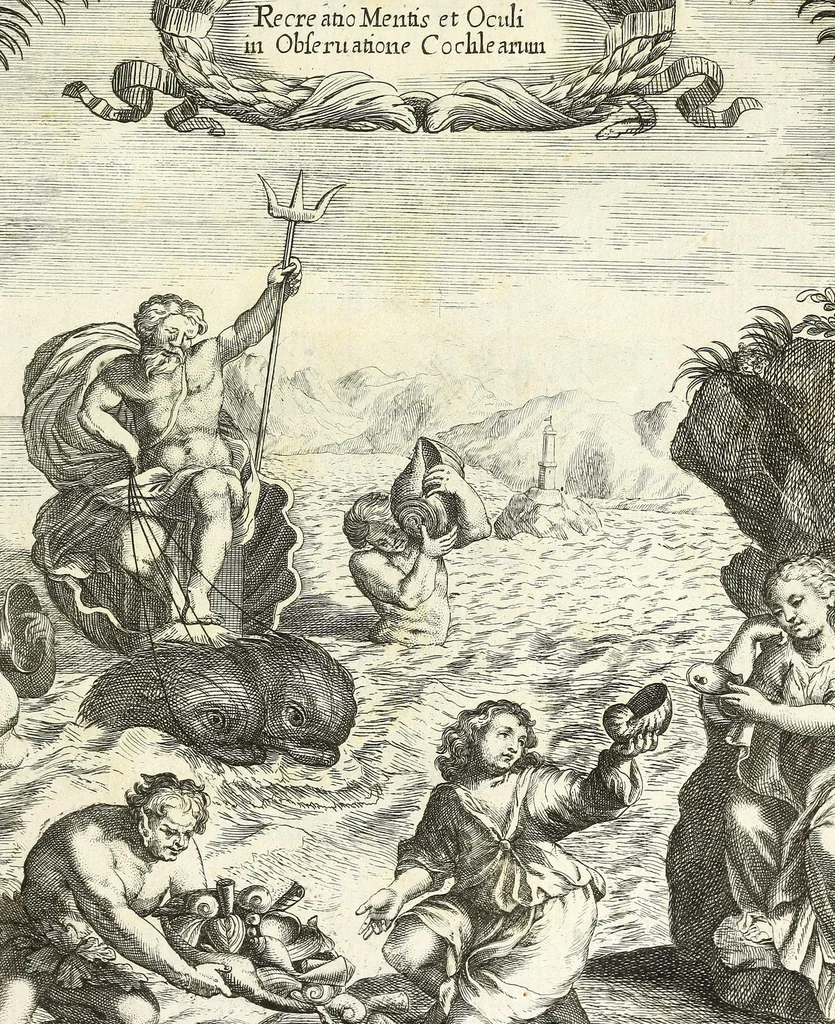An illustration from Recreatio mentis et oculi in obseruatione animalium testaceorum curiosis naturae inspectoribus, 1684, leaf 5