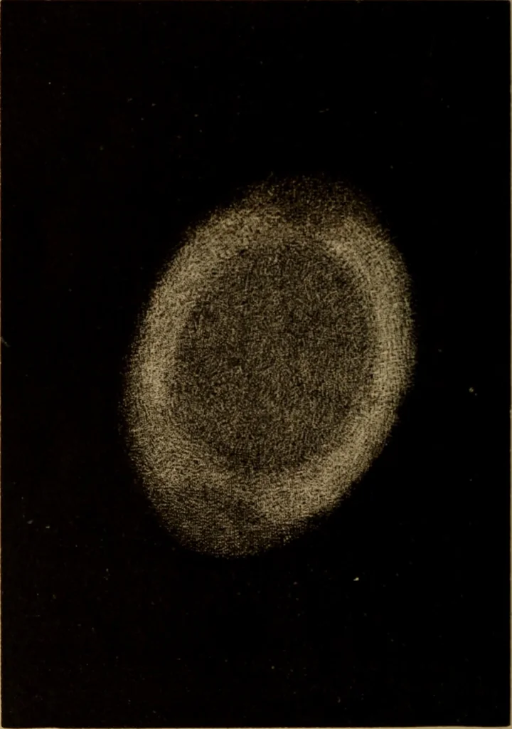 An illustration from Recreations in astronomy : with directions for practical experiments and telescopic work, 1879, leaf 237