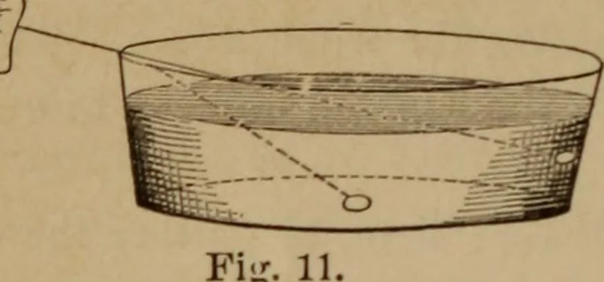 An illustration from Recreations in astronomy : with directions for practical experiments and telescopic work, 1879, leaf 55