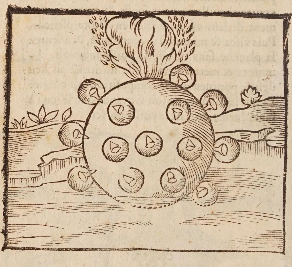 An illustration from Recreations mathematiques : composées de plusieurs problemes, plaisans & facetieux, d'arithmetique, geometrie, astrologie, optique, perspectiue, mechanique, chymie, & d'autres rares & curieux secrets : plusieurs desquels n'ont iamais esté imprimez : premiere et seconde partie : la troisiesme partie contient vn recueil de plusieurs gentilles & recreatiues inuentions de feux d'artifice : la maniere de faire toutes sortes de fuzees, simples & composees : le tout representé par figures, 1629, leaf 366