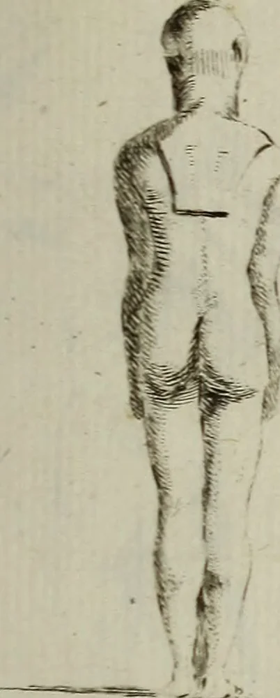 An illustration from Recueil d'antiquités égyptiennes, étrusques, greques et romaines, 1752, leaf 150