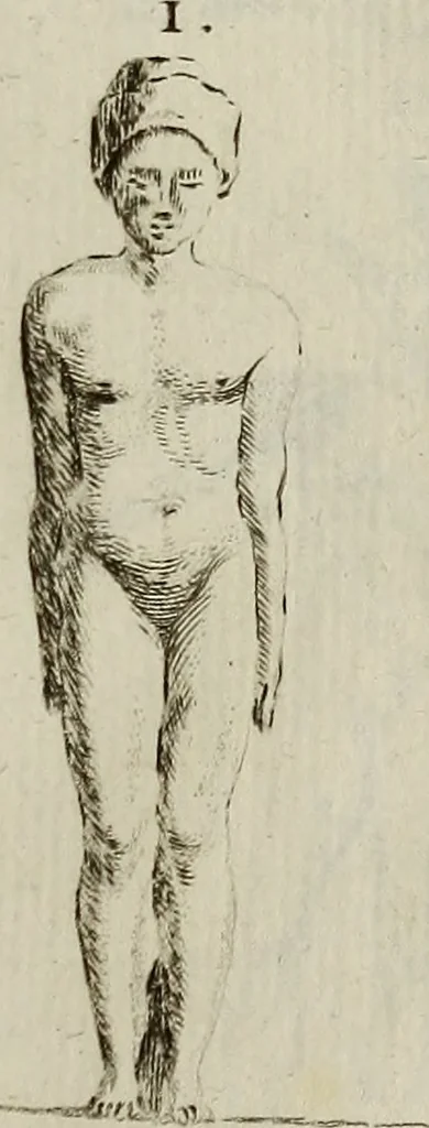 An illustration from Recueil d'antiquités égyptiennes, étrusques, greques et romaines, 1752, leaf 150