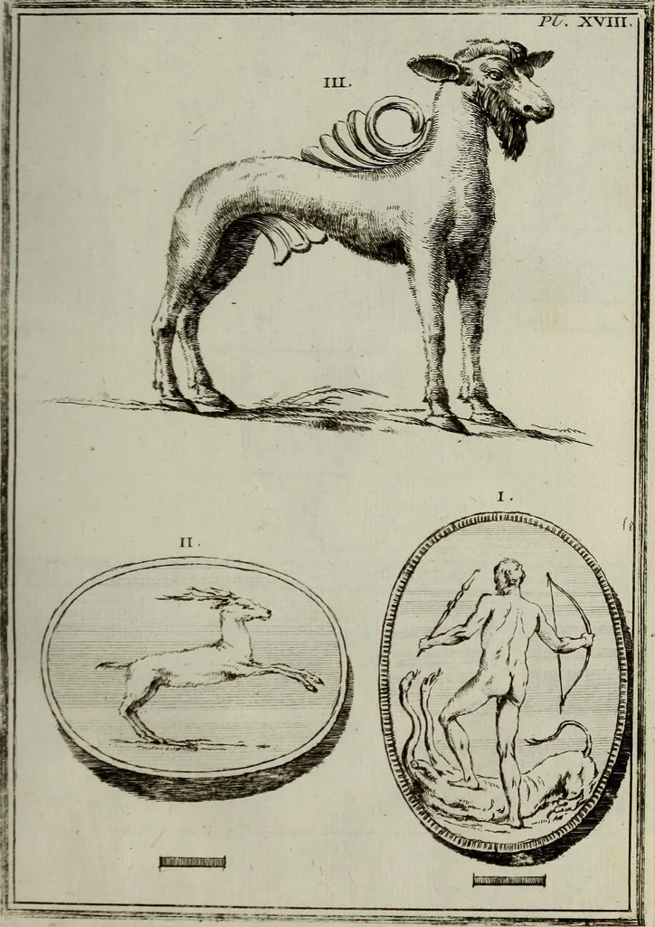 An illustration from Recueil d'antiquités égyptiennes, étrusques, greques et romaines, 1752, leaf 156