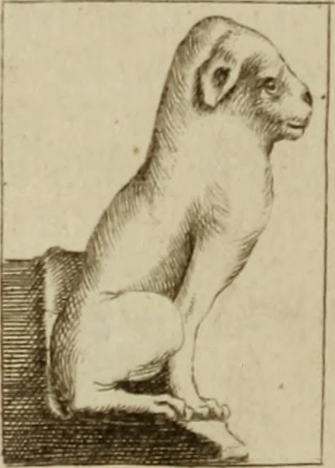 An illustration from Recueil d'antiquités égyptiennes, étrusques, greques et romaines, 1752, leaf 17