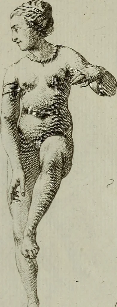 An illustration from Recueil d'antiquités égyptiennes, étrusques, greques et romaines, 1752, leaf 380