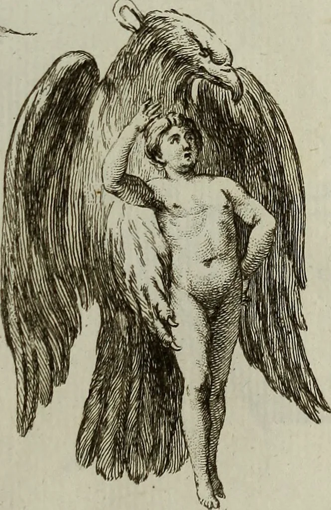 An illustration from Recueil d'antiquités égyptiennes, étrusques, greques et romaines, 1752, leaf 380