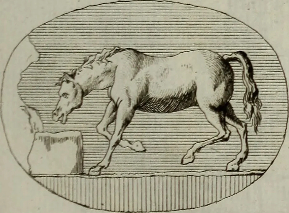 An illustration from Recueil d'antiquités égyptiennes, étrusques, greques et romaines, 1752, leaf 390