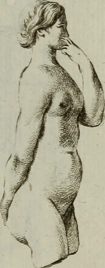 An illustration from Recueil d'antiquités égyptiennes, étrusques, greques et romaines, 1752, leaf 516