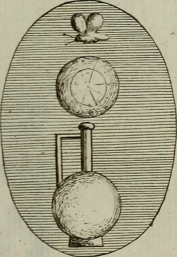 An illustration from Recueil d'antiquités égyptiennes, étrusques, greques et romaines, 1752, leaf 538