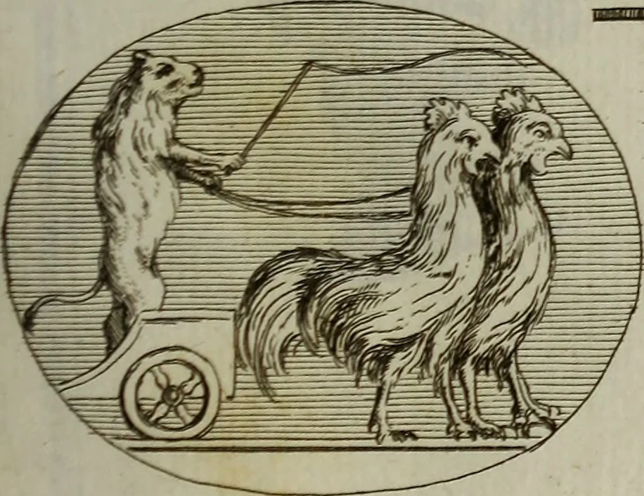 An illustration from Recueil d'antiquités égyptiennes, étrusques, greques et romaines, 1752, leaf 538