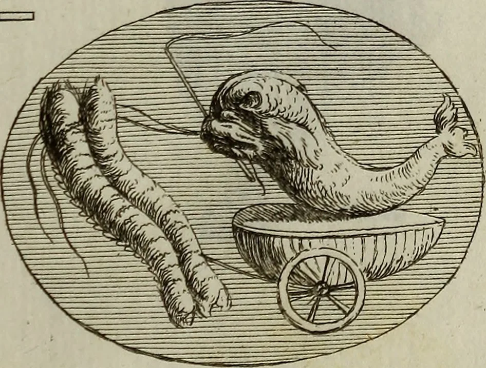 An illustration from Recueil d'antiquités égyptiennes, étrusques, greques et romaines, 1752, leaf 538