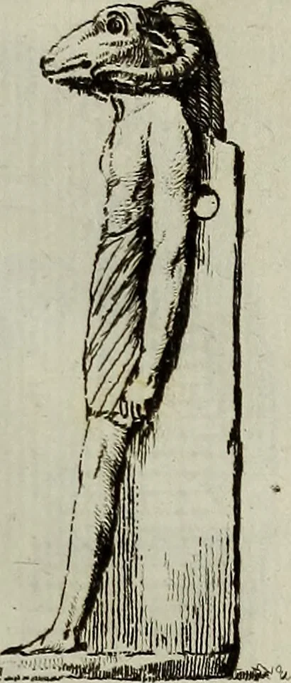 An illustration from Recueil d'antiquités égyptiennes, étrusques, greques et romaines, 1752, leaf 72