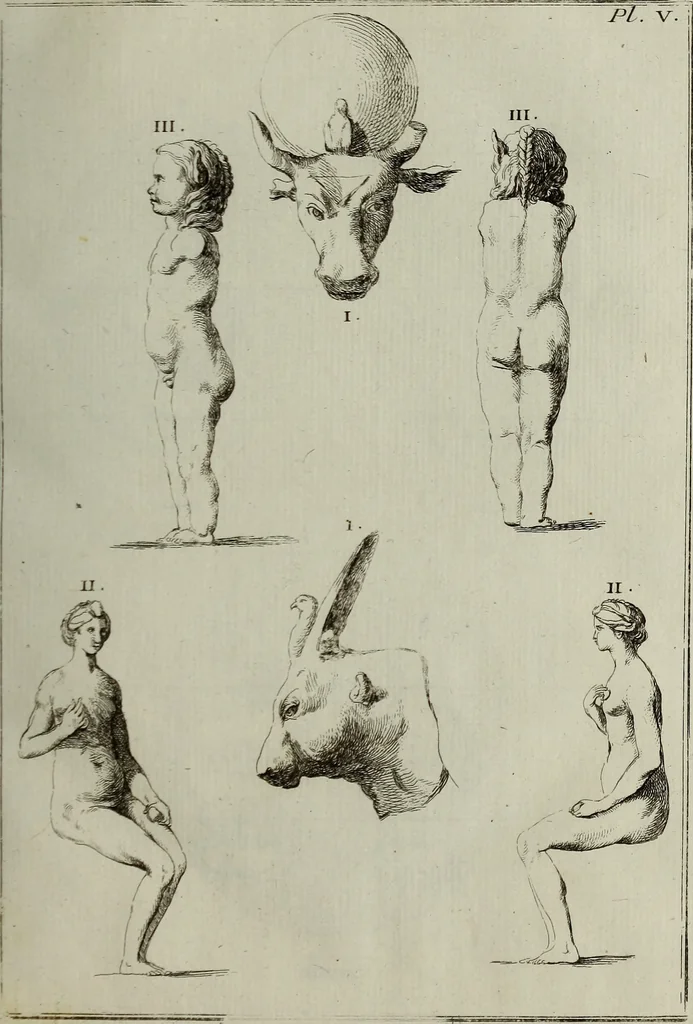 An illustration from Recueil d'antiquités égyptiennes, étrusques, greques et romaines, 1752, leaf 76