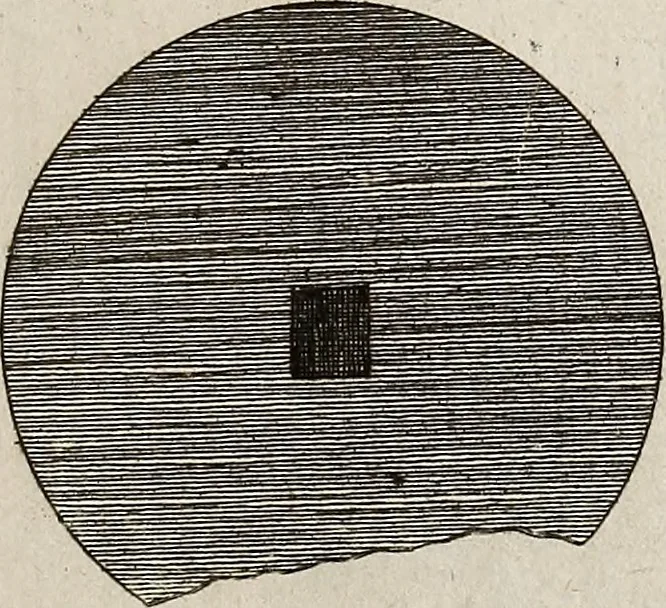 An illustration from Recueil d'antiquités égyptiennes, étrusques, greques et romaines, 1752, leaf 156