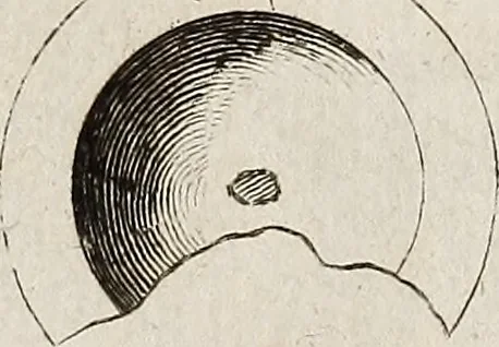 An illustration from Recueil d'antiquités égyptiennes, étrusques, greques et romaines, 1752, leaf 156