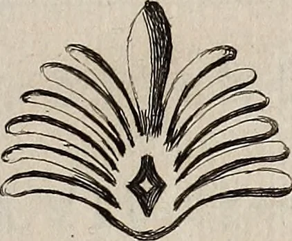 An illustration from Recueil d'antiquités égyptiennes, étrusques, greques et romaines, 1752, leaf 210