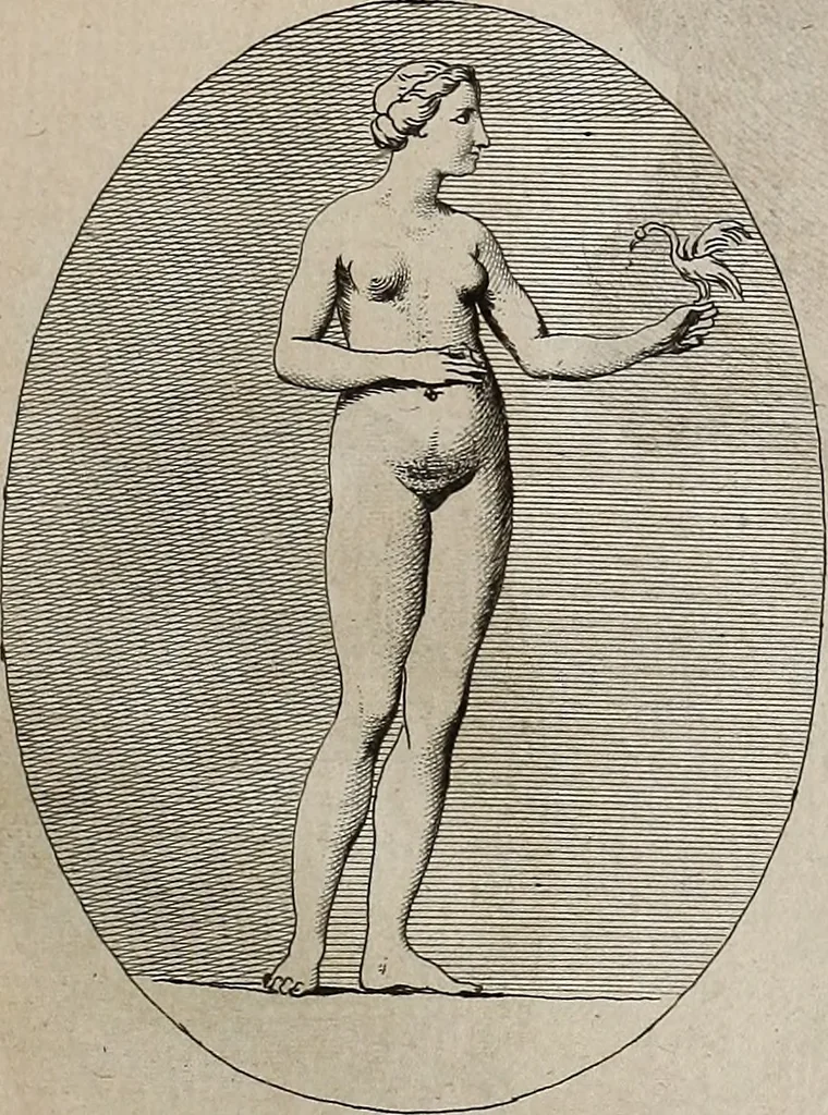An illustration from Recueil d'antiquités égyptiennes, étrusques, greques et romaines, 1752, leaf 294