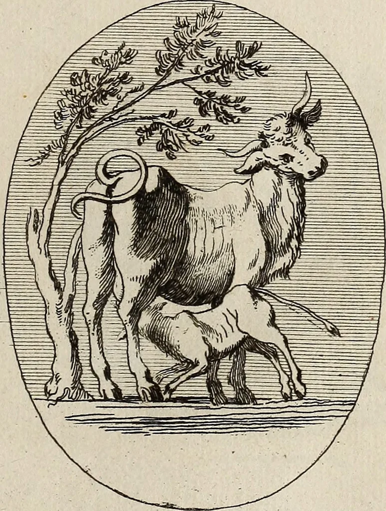 An illustration from Recueil d'antiquités égyptiennes, étrusques, greques et romaines, 1752, leaf 302