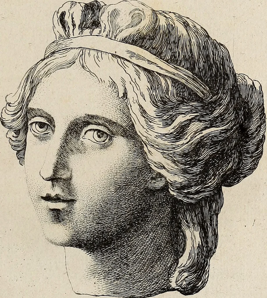 An illustration from Recueil d'antiquités égyptiennes, étrusques, greques et romaines, 1752, leaf 316