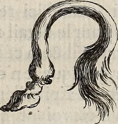 An illustration from Recueil d'antiquités égyptiennes, étrusques, greques et romaines, 1752, leaf 38
