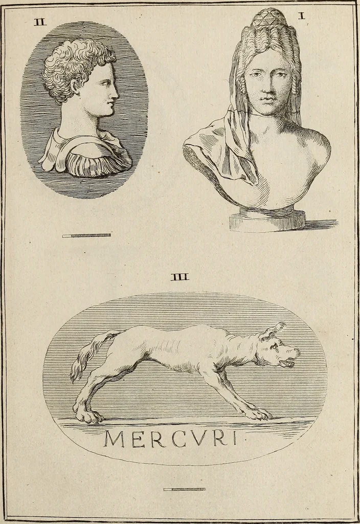 An illustration from Recueil d'antiquités égyptiennes, étrusques, greques et romaines, 1752, leaf 498