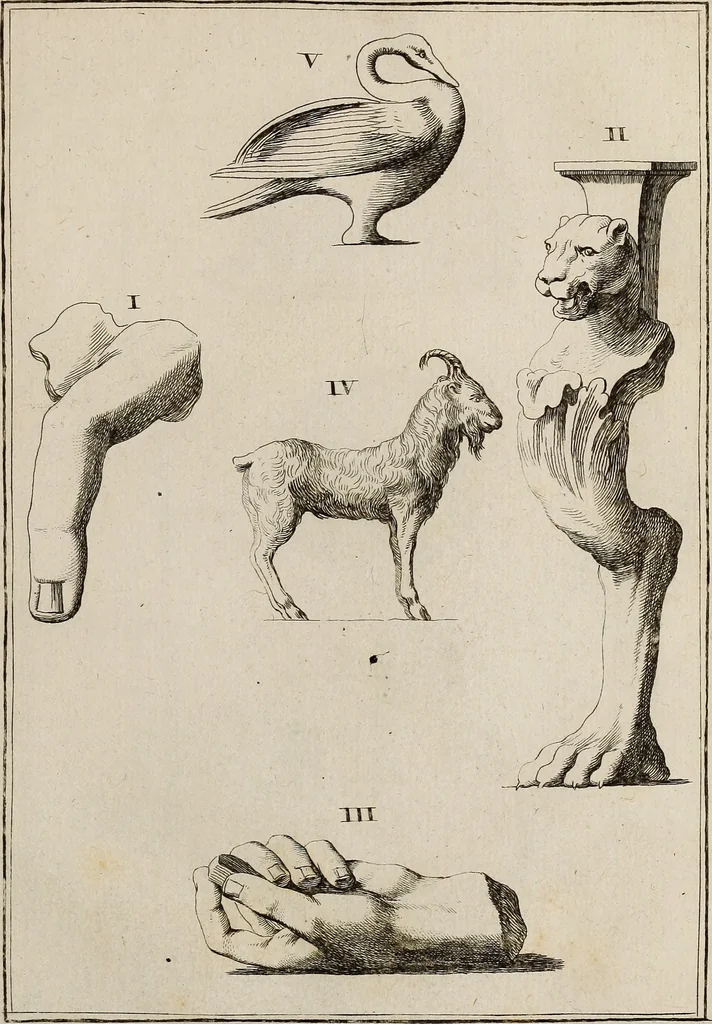 An illustration from Recueil d'antiquités égyptiennes, étrusques, greques et romaines, 1752, leaf 546