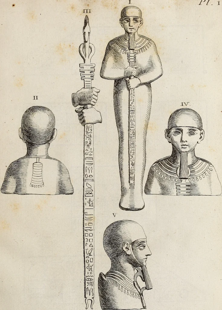 An illustration from Recueil d'antiquités égyptiennes, étrusques, greques et romaines, 1752, leaf 100