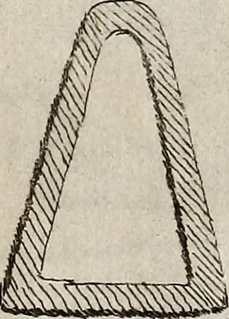 An illustration from Recueil d'antiquités égyptiennes, étrusques, greques et romaines, 1752, leaf 134