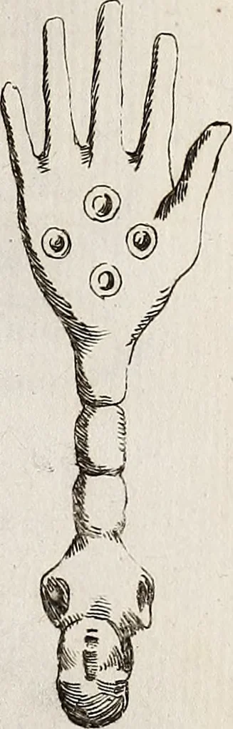 An illustration from Recueil d'antiquités égyptiennes, étrusques, greques et romaines, 1752, leaf 142