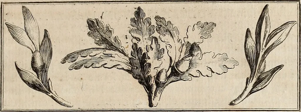 An illustration from Recueil d'antiquités égyptiennes, étrusques, greques et romaines, 1752, leaf 20