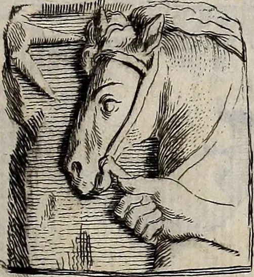 An illustration from Recueil d'antiquités égyptiennes, étrusques, greques et romaines, 1752, leaf 296