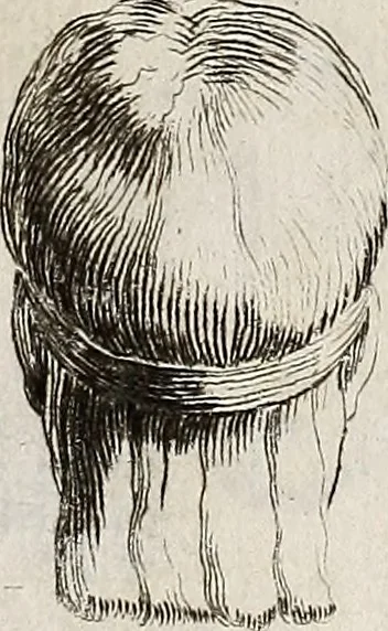 An illustration from Recueil d'antiquités égyptiennes, étrusques, greques et romaines, 1752, leaf 300