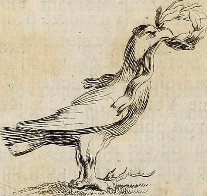 An illustration from Recueil d'antiquités égyptiennes, étrusques, greques et romaines, 1752, leaf 497