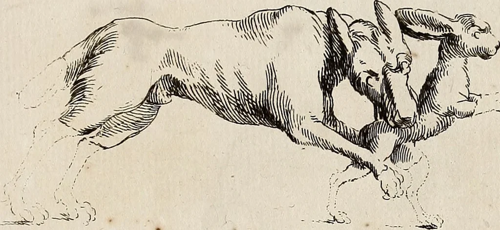 An illustration from Recueil d'antiquités égyptiennes, étrusques, greques et romaines, 1752, leaf 520