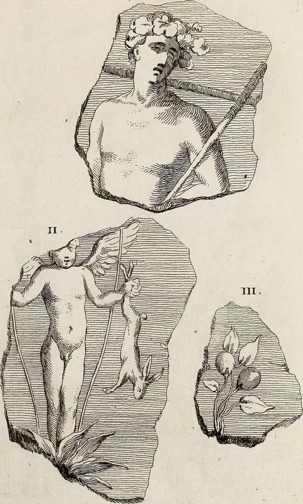 An illustration from Recueil d'antiquités égyptiennes, étrusques, greques et romaines, 1752, leaf 522