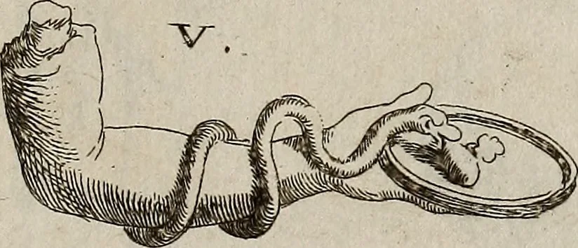 An illustration from Recueil d'antiquités égyptiennes, étrusques, greques et romaines, 1752, leaf 544