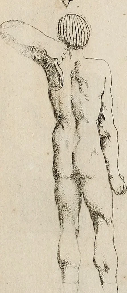 An illustration from Recueil d'antiquités égyptiennes, étrusques, greques et romaines, 1752, leaf 546