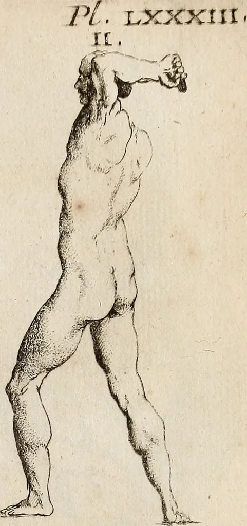 An illustration from Recueil d'antiquités égyptiennes, étrusques, greques et romaines, 1752, leaf 546