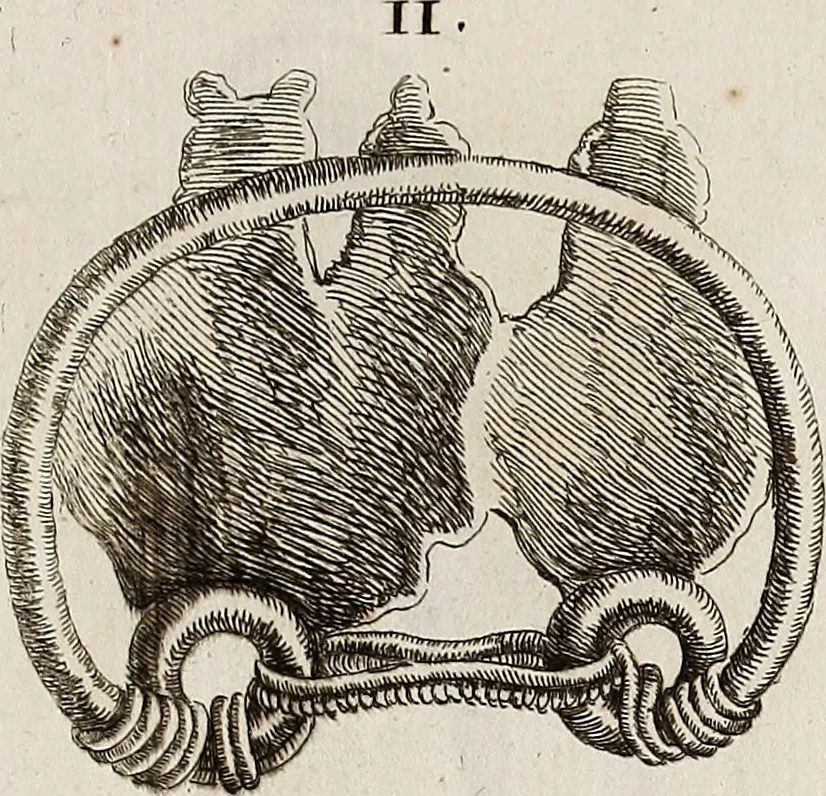 An illustration from Recueil d'antiquités égyptiennes, étrusques, greques et romaines, 1752, leaf 556