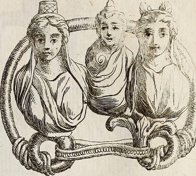 An illustration from Recueil d'antiquités égyptiennes, étrusques, greques et romaines, 1752, leaf 556