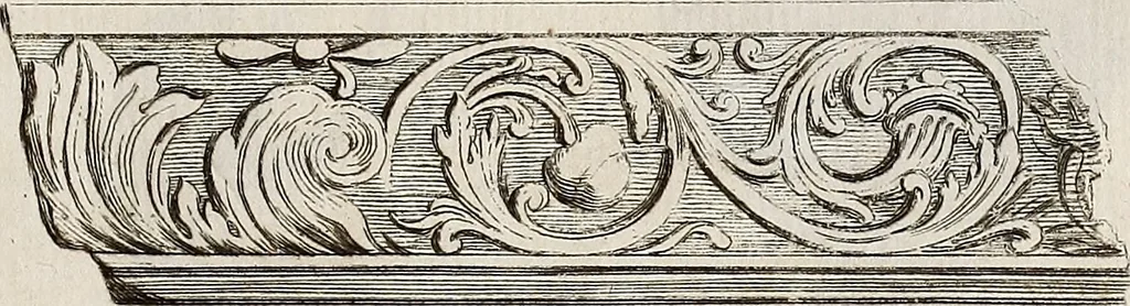 An illustration from Recueil d'antiquités égyptiennes, étrusques, greques et romaines, 1752, leaf 556