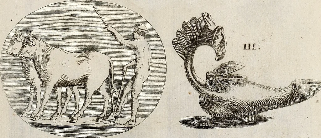An illustration from Recueil d'antiquités égyptiennes, étrusques, greques et romaines, 1752, leaf 556